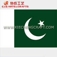 C&S Pakistan Flag Printed Polyester